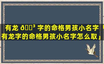 有龙 🐳 字的命格男孩小名字「有龙字的命格男孩小名字怎么取」